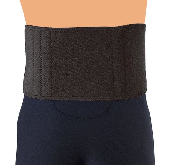 Victor Supporting Waist Band SP171 Braces Victor