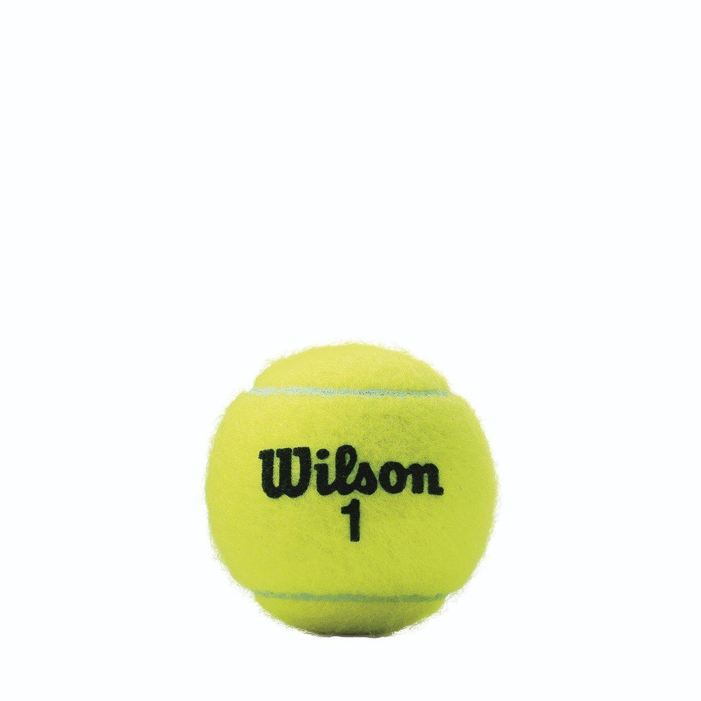 Wilson Championship Extra Duty Tennis Balls 4 Ball Can Tennis balls Wilson