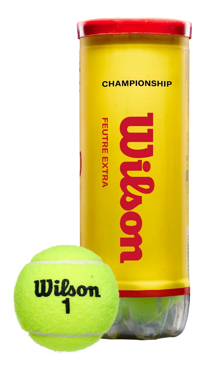Wilson Championship Extra Duty Tennis Balls Case - 24 of 3 Ball Cans (72 balls)