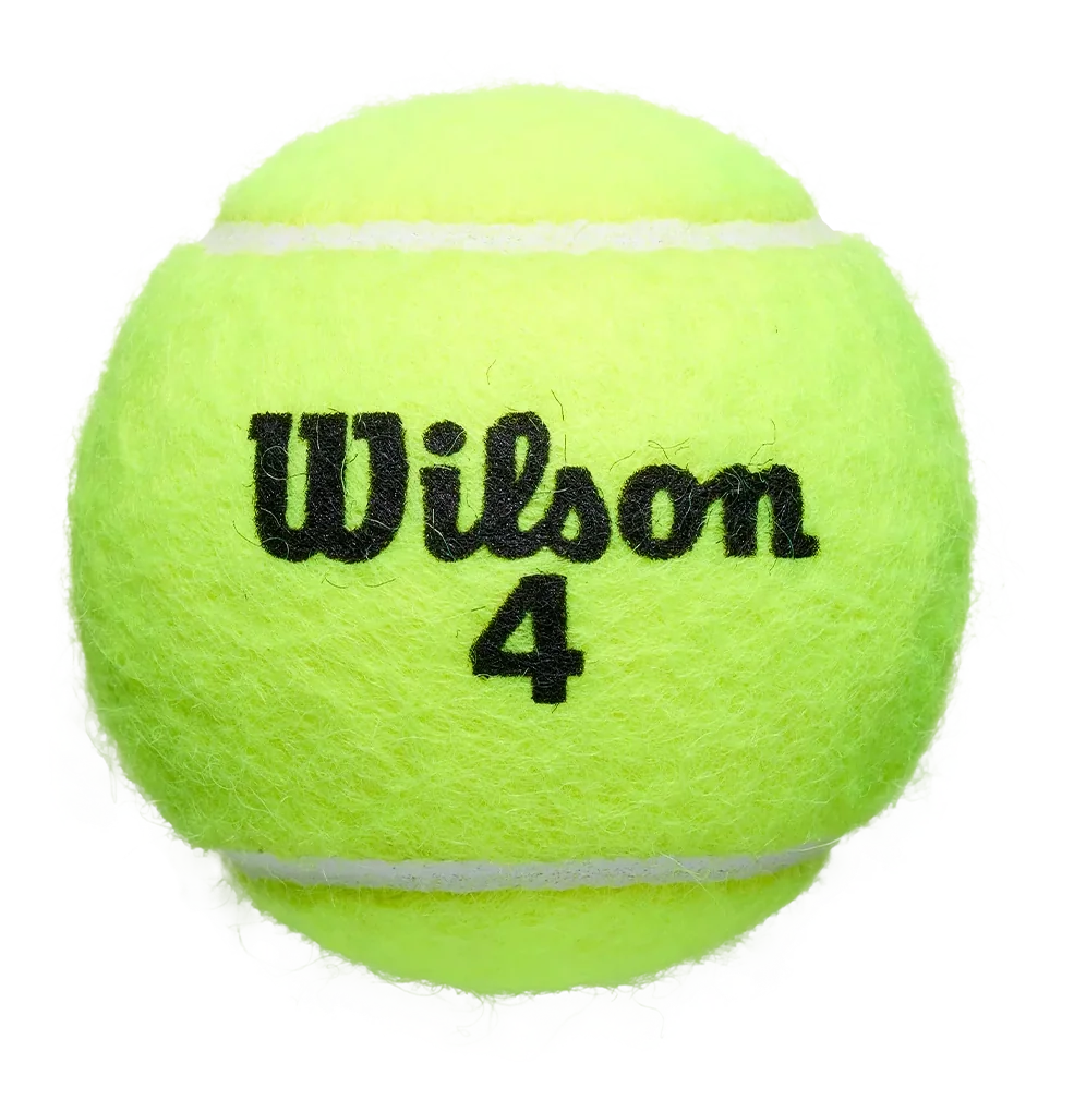 Wilson Roland Garros Balles de Tennis Terre Battue Boîte de 3 Balles