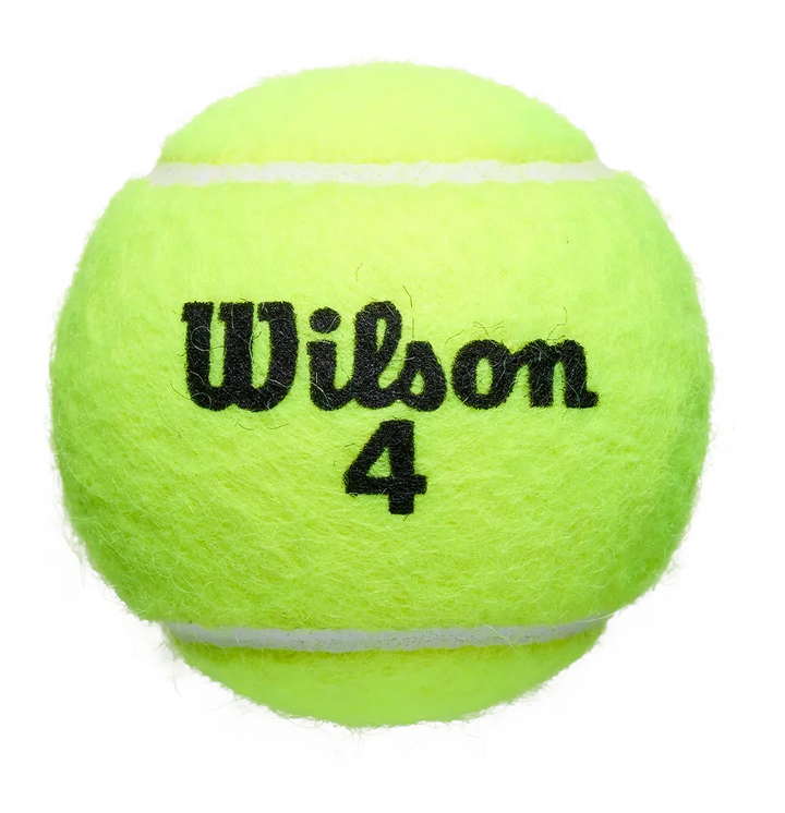 Wilson Roland Garros Balles de Tennis Terre Battue Boîte de 3 Balles