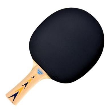 Donic Table Tennis paddle five-ply blade Appelgren 300 Ping-Pong-Racquets EastPoint 