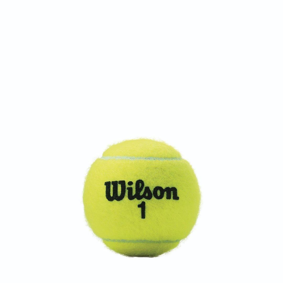 Wilson Championship Extra Duty Tennis Balls 3 Ball Can Tennis balls Wilson 