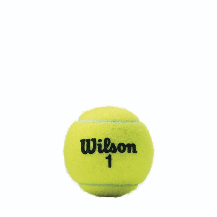 Wilson Championship Extra Duty Tennis Balls 3 Ball Can - 4 Pack (12 balls) Tennis balls Wilson 