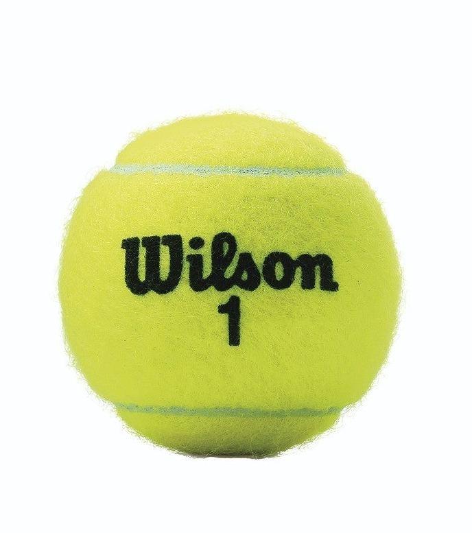 Wilson Championship Regular Duty Tennis Balls 3 Ball Can Tennis balls Wilson 