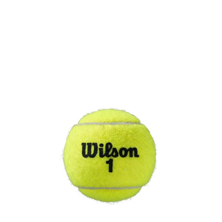 Wilson Roland Garros Clay Court Tennis Balls Case - 24 of 3 Ball Cans (72 balls) Tennis balls Wilson 