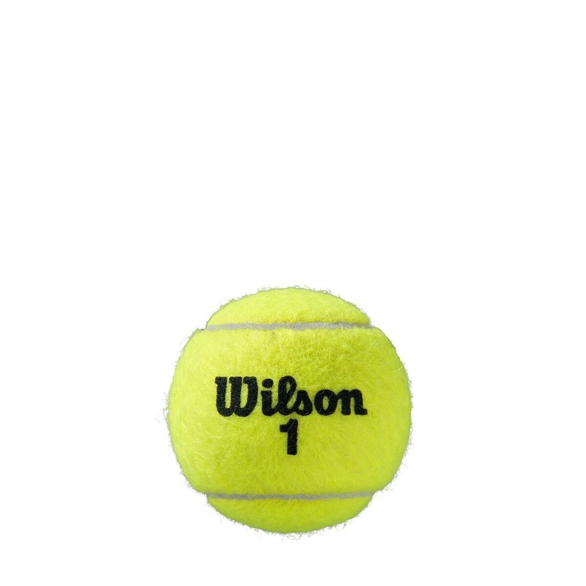Wilson Roland Garros Tennis Balls Clay Court 3 Ball Can – Sports